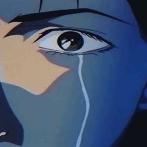 菠萝蜜视频官网
