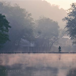 菠萝蜜视频官网
