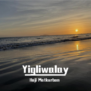 菠萝蜜视频官网
