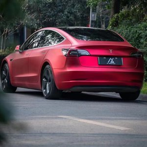 菠萝蜜视频官网
