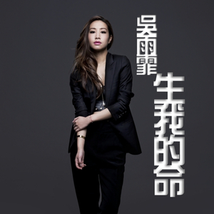 菠萝蜜视频官网
