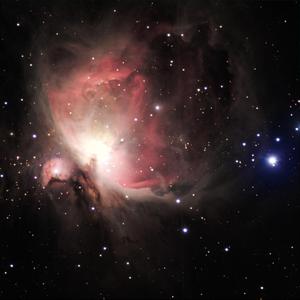 菠萝蜜视频官网
