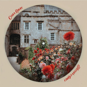 菠萝蜜视频官网
